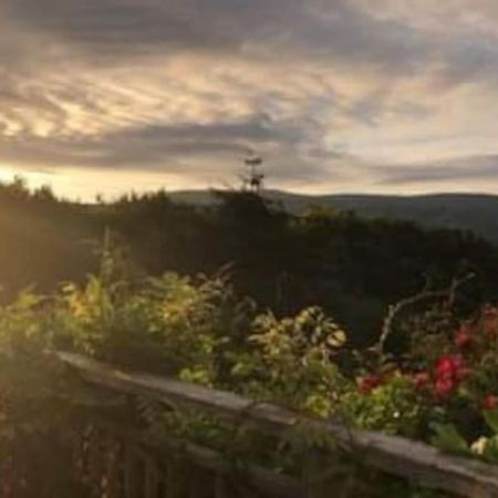 מאכינלת' Stunning Views Of Ynyshir & Southern Snowdonia מראה חיצוני תמונה
