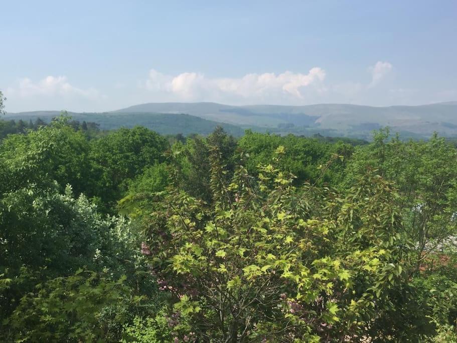 מאכינלת' Stunning Views Of Ynyshir & Southern Snowdonia מראה חיצוני תמונה